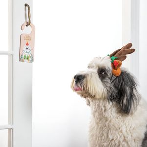 Set de Cartas para Santa