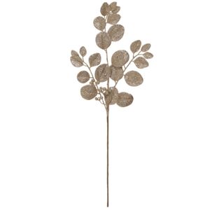 Rama Champagne 75 Cm