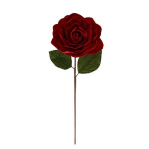 Rosa 45 Cm