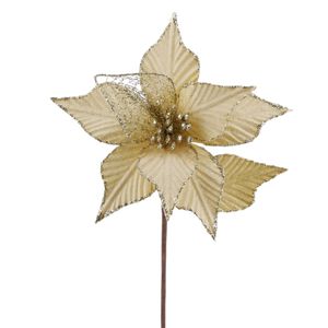 Poinsettia Dorado 20 - Cm