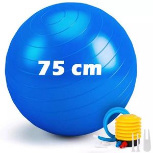 Pelota De Ejercicio Con Bomba De Inflado 75 CM