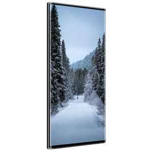 Celular Samsung Galaxy S22 Ultra 5G 256GB 8GB RAM