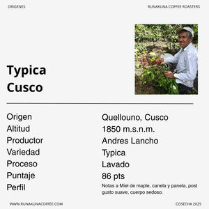 Cafe de Especialidad Typica Cusco Molido Medio-  Runakuna