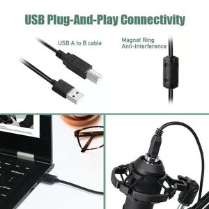 Kit Micrófono Condensador USB Estudio Podcast BM838 Negro con Plomo