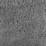 image-321eecbcd6c04c3185f7d3d95f771ff9