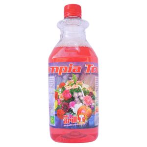 Limpiatodo Mr Brillo Manzana Canela 1 litro