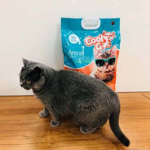 Arena para Gatos COOL CAT Bolsa 10Kg
