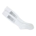 image-8e08ddc2247a433ea5d54e72c5584be6