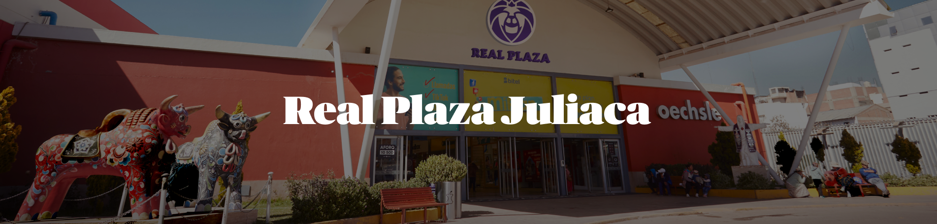 Banner Juliaca